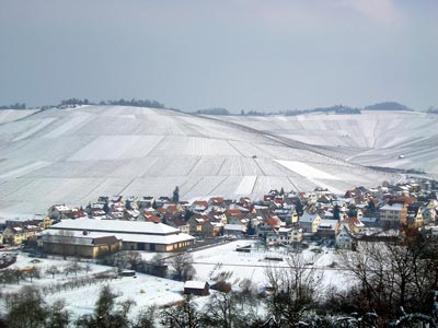 Wein- und Silcherort Schnait mit Kelter und Schloß