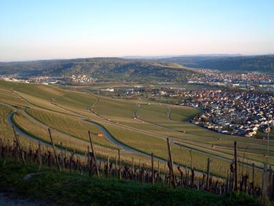 Panoramablick von der Aussichtsplattform auf dem Kleinheppacher Kopf